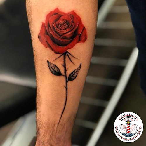 rose on the arm tattoo